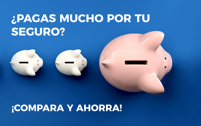 Compara el precio de tu póliza en más de 30 compañías distintas
